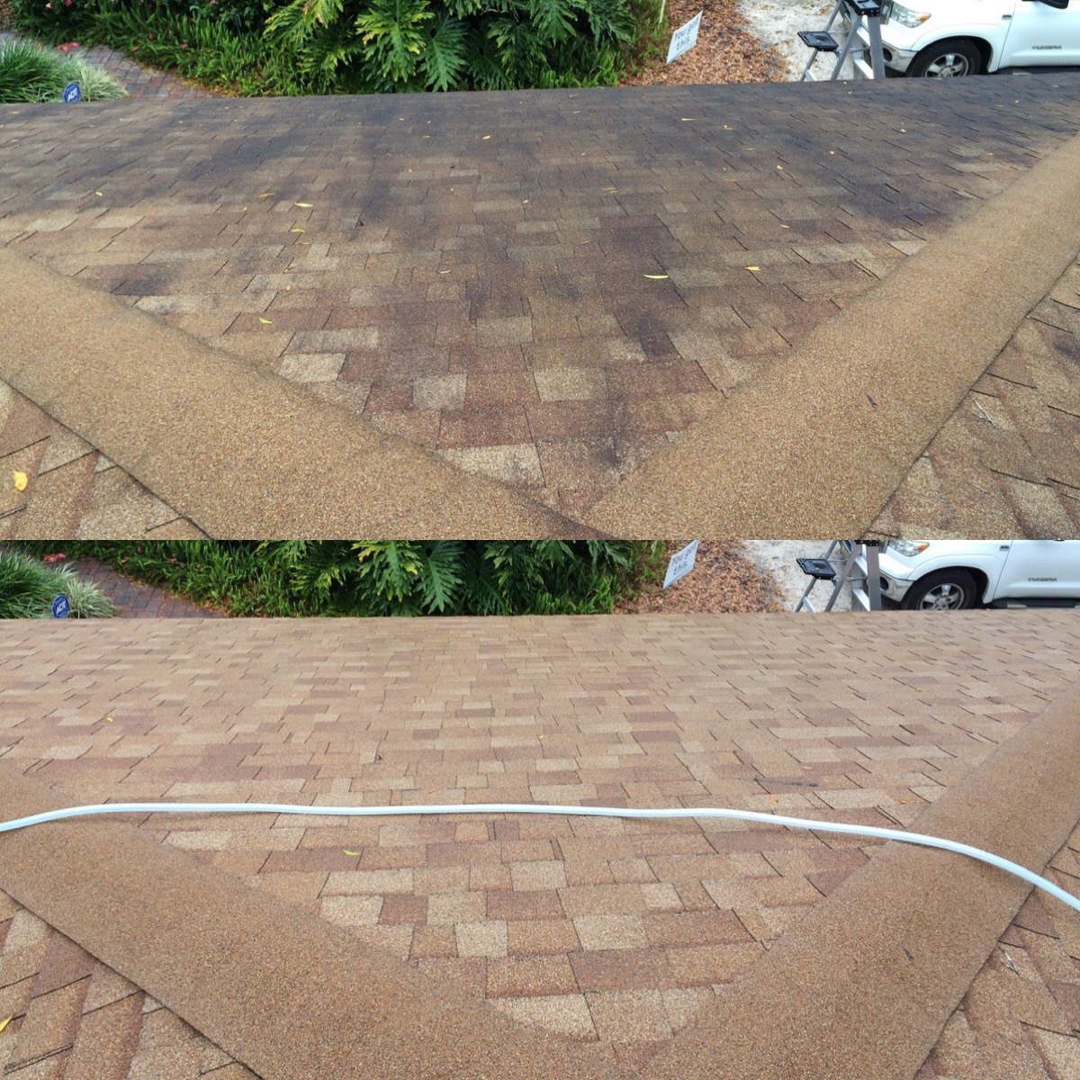 gainesville roof cleaning